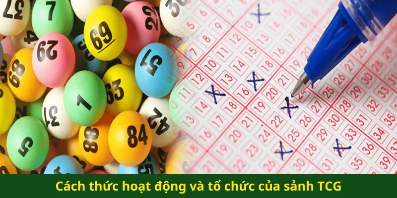 Cách thức hoạt động và tổ chức của sảnh TCG