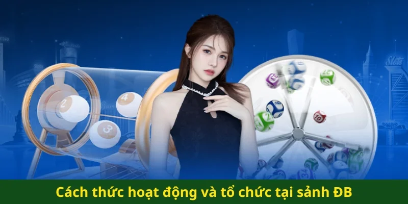 Cách thức hoạt động và tổ chức tại sảnh ĐB