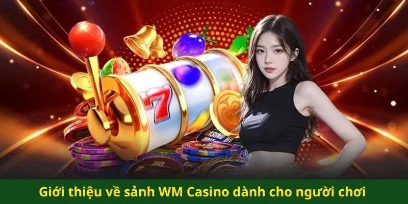 Giới thiệu về sảnh WM Casino dành cho người chơi
