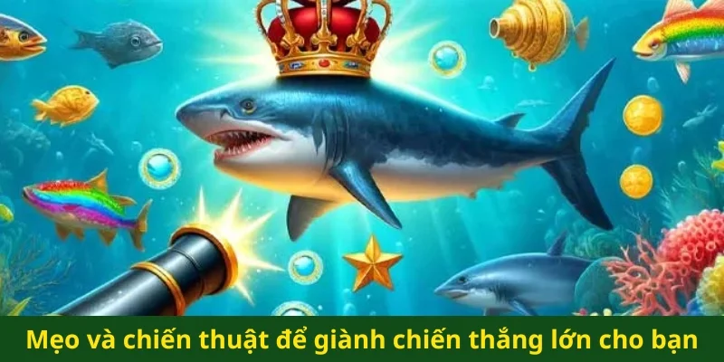 Mẹo và chiến thuật để giành chiến thắng lớn cho bạn