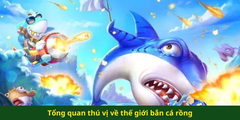 Tổng quan thú vị về thế giới bắn cá rồng