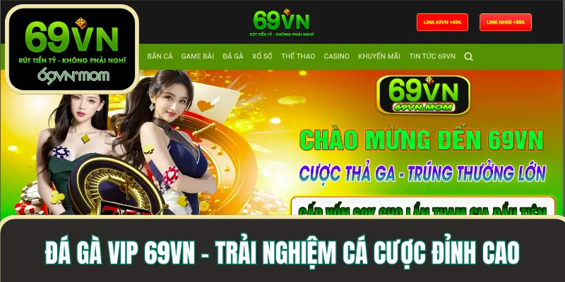 Đá gà vip